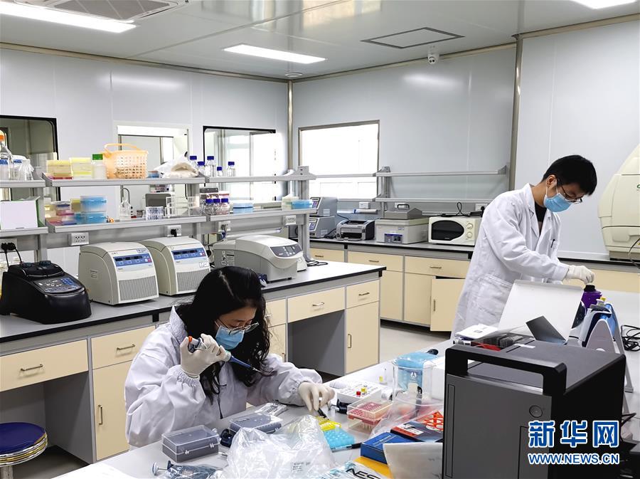 (在習(xí)近平新時(shí)代中國特色社會主義思想指引下——新時(shí)代新作為新篇章·習(xí)近平總書記關(guān)切事·圖文互動)(5)高擎利劍驅(qū)疫魔——科研攻關(guān)助力湖北戰(zhàn)“疫”記