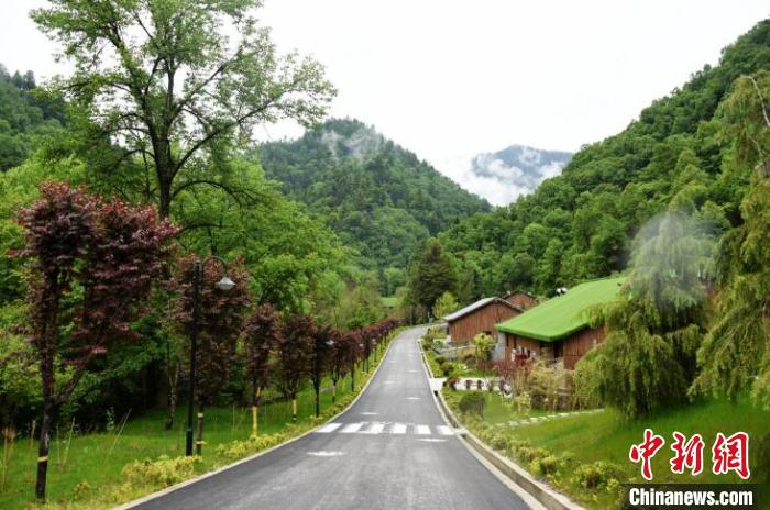 九寨溝熊貓園外景?！【耪瘻峡h委宣傳部提供 攝
