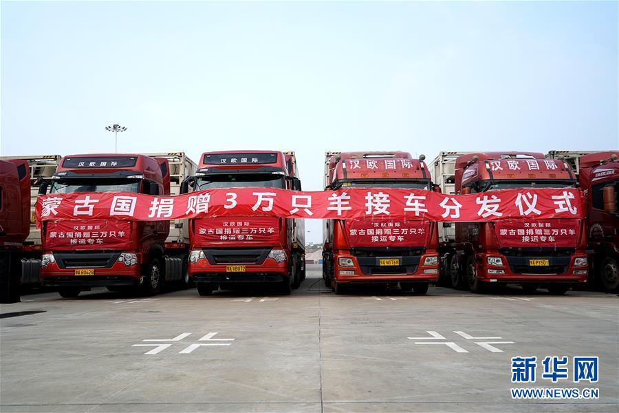 (新華全媒頭條·圖文互動)(1)在世界大變局中引領(lǐng)前行的方向——2020年中國元首外交綜述