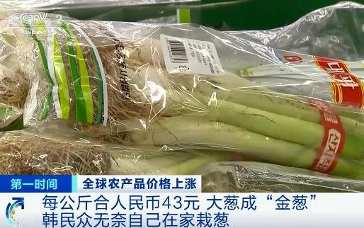 央視財經(jīng)報道截圖。